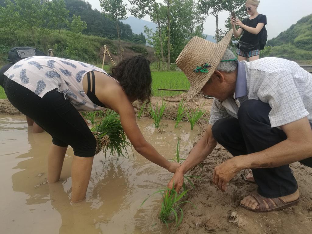 Zhangjiajie Jijiehao Inn Екстериор снимка